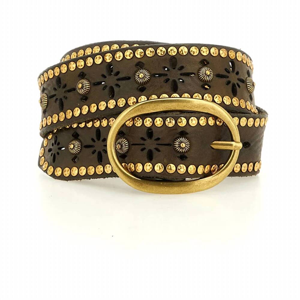 NEW CAMPOMAGGI women's edith studded belt in military